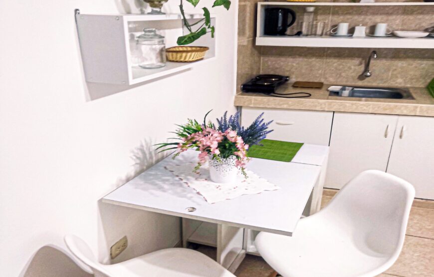 Mini apart 19
